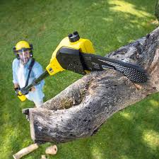 Artificial Turf Installation in Lancaster, WI